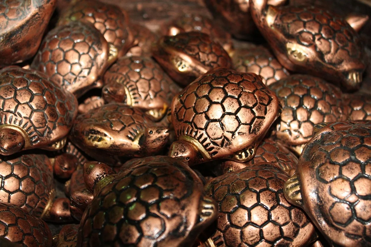 Turtle Feng Shui,