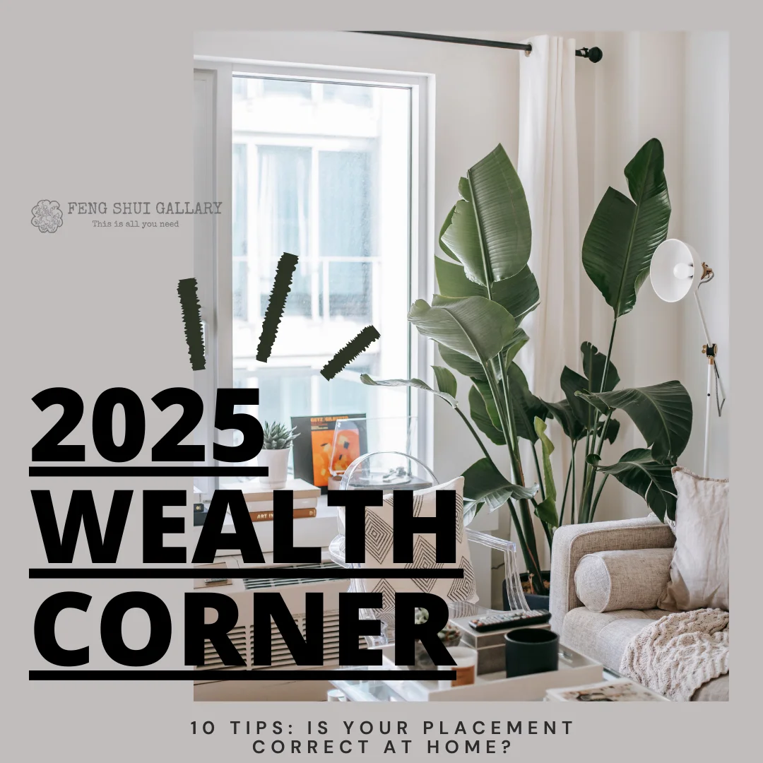 feng shui wealth