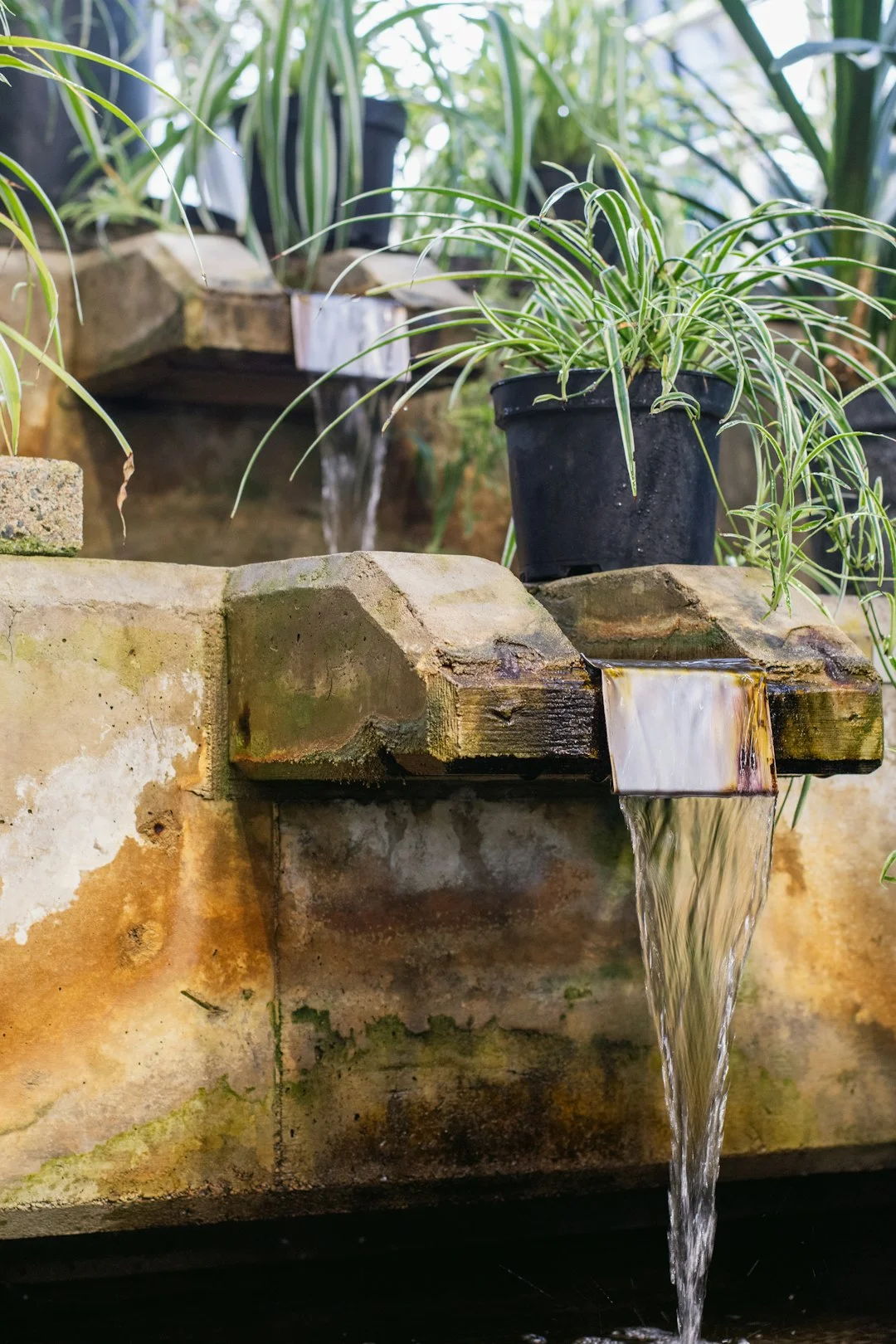 3 Feng Shui Tips For Living
 – FengshuiGallary