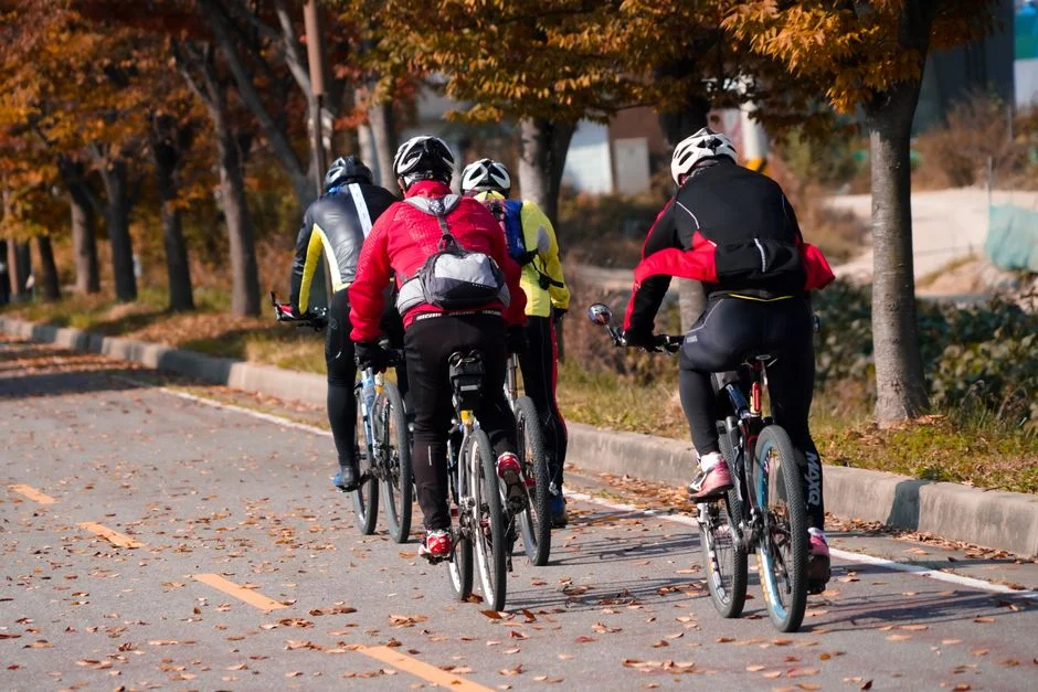 Five Elements Cycle,