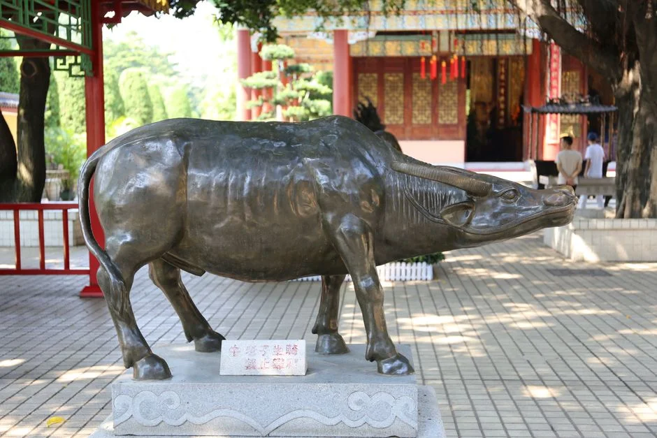 water buffalo statue,