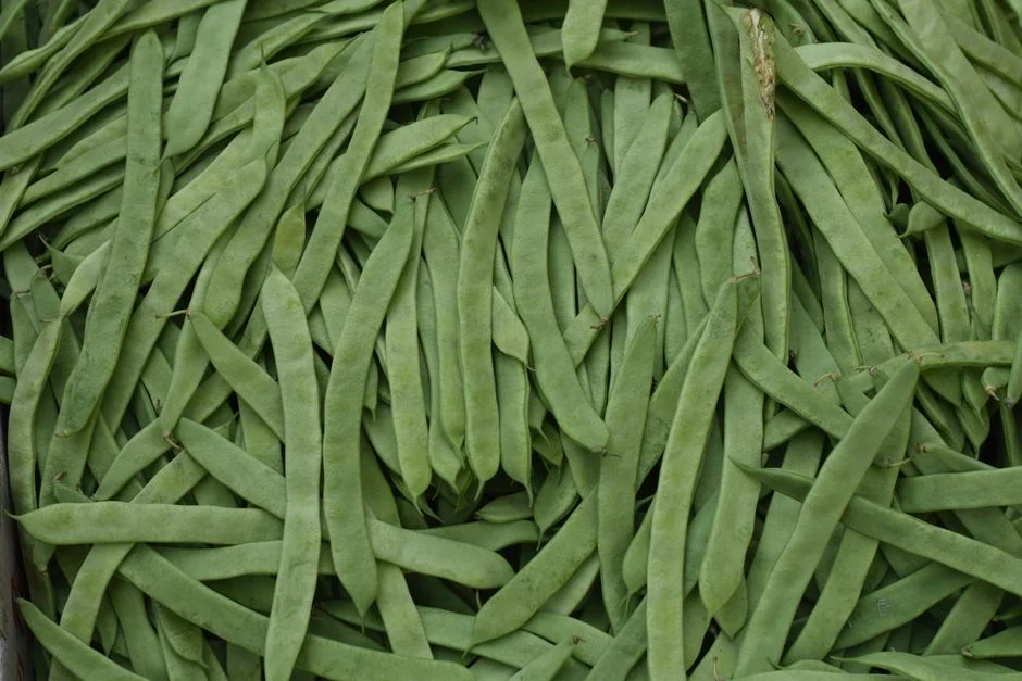 String bean jade,