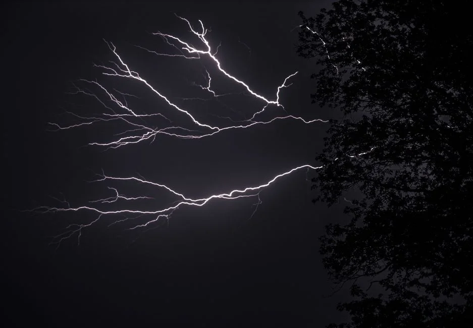 Lightning Struck Wood,