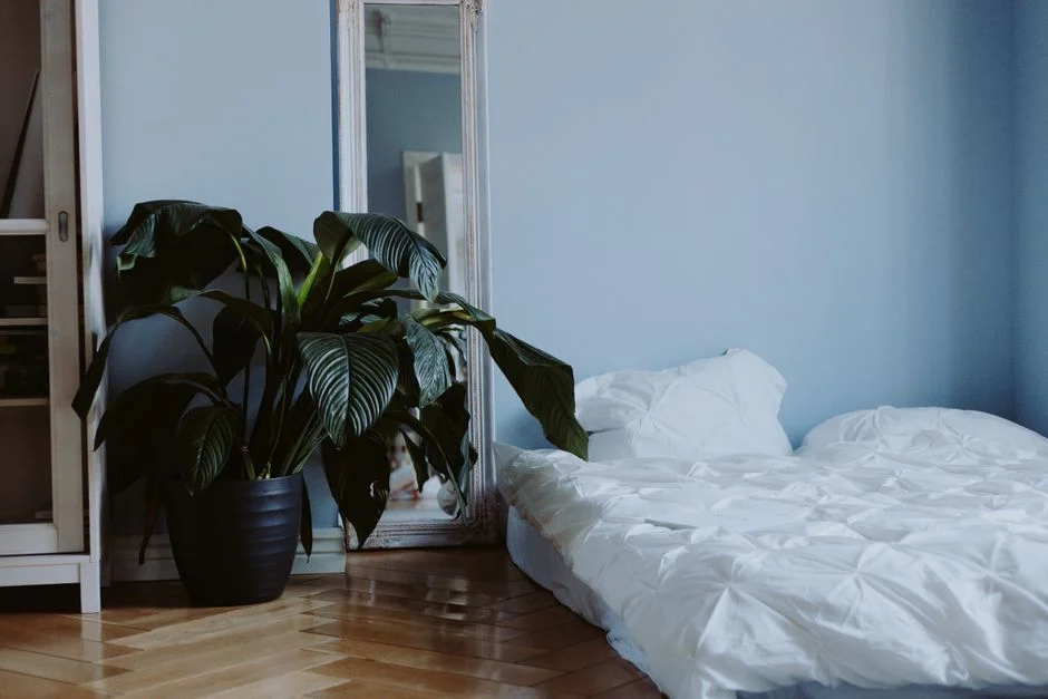 feng shui bed