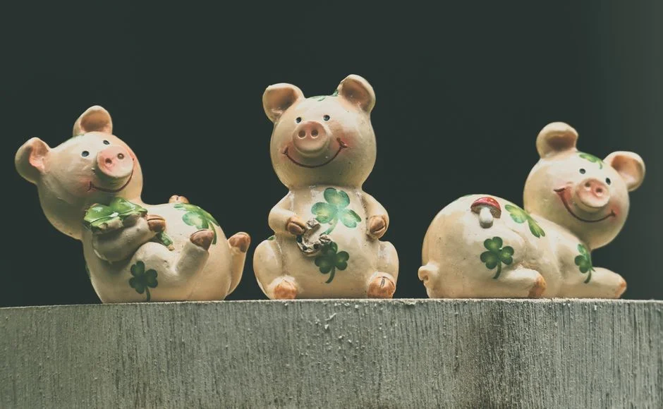 Pig symbol wealth,