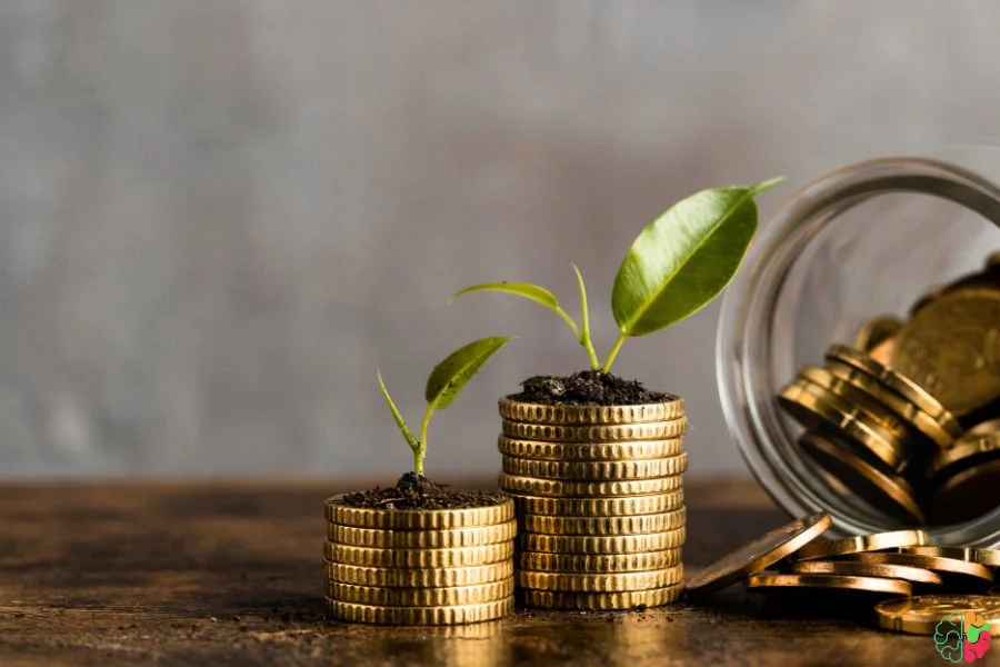 Financial wealth, Money