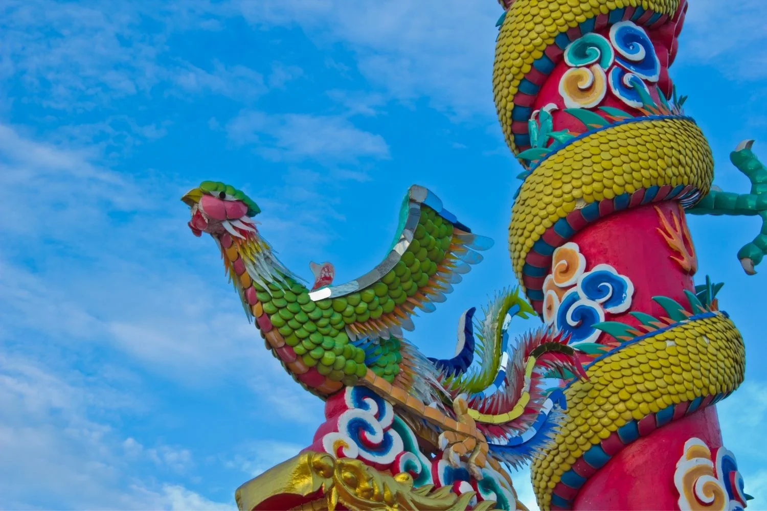 Phoenix Feng Shui,