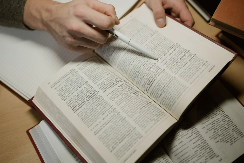 Academic References, Chinese