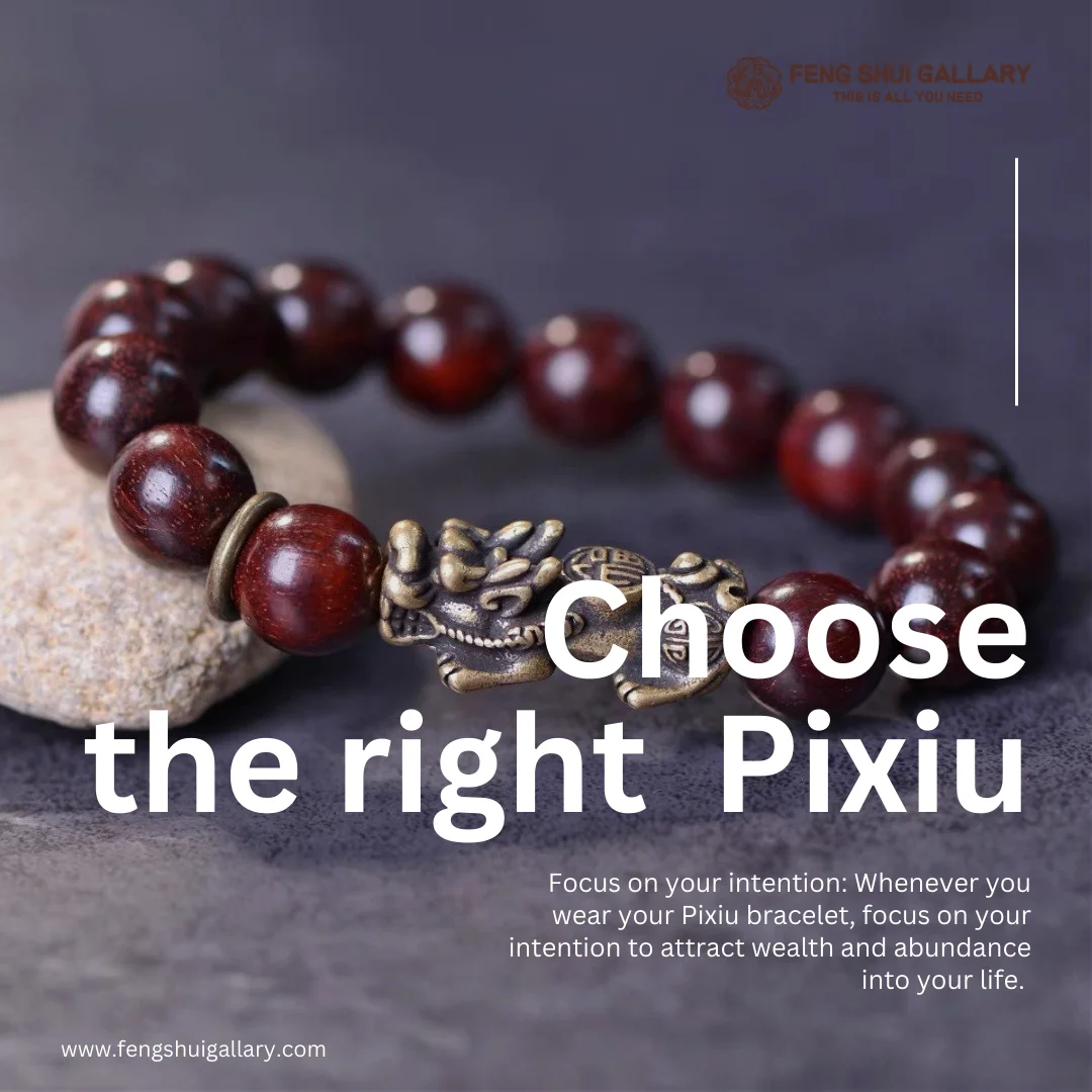 Pixiu bracelet, Feng