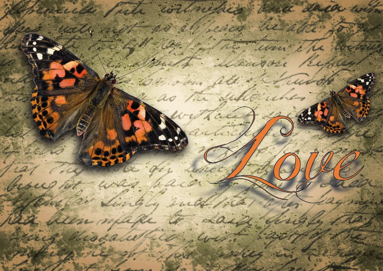 butterfly wedding symbolism,