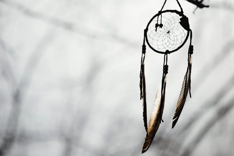 Dream catcher, Native