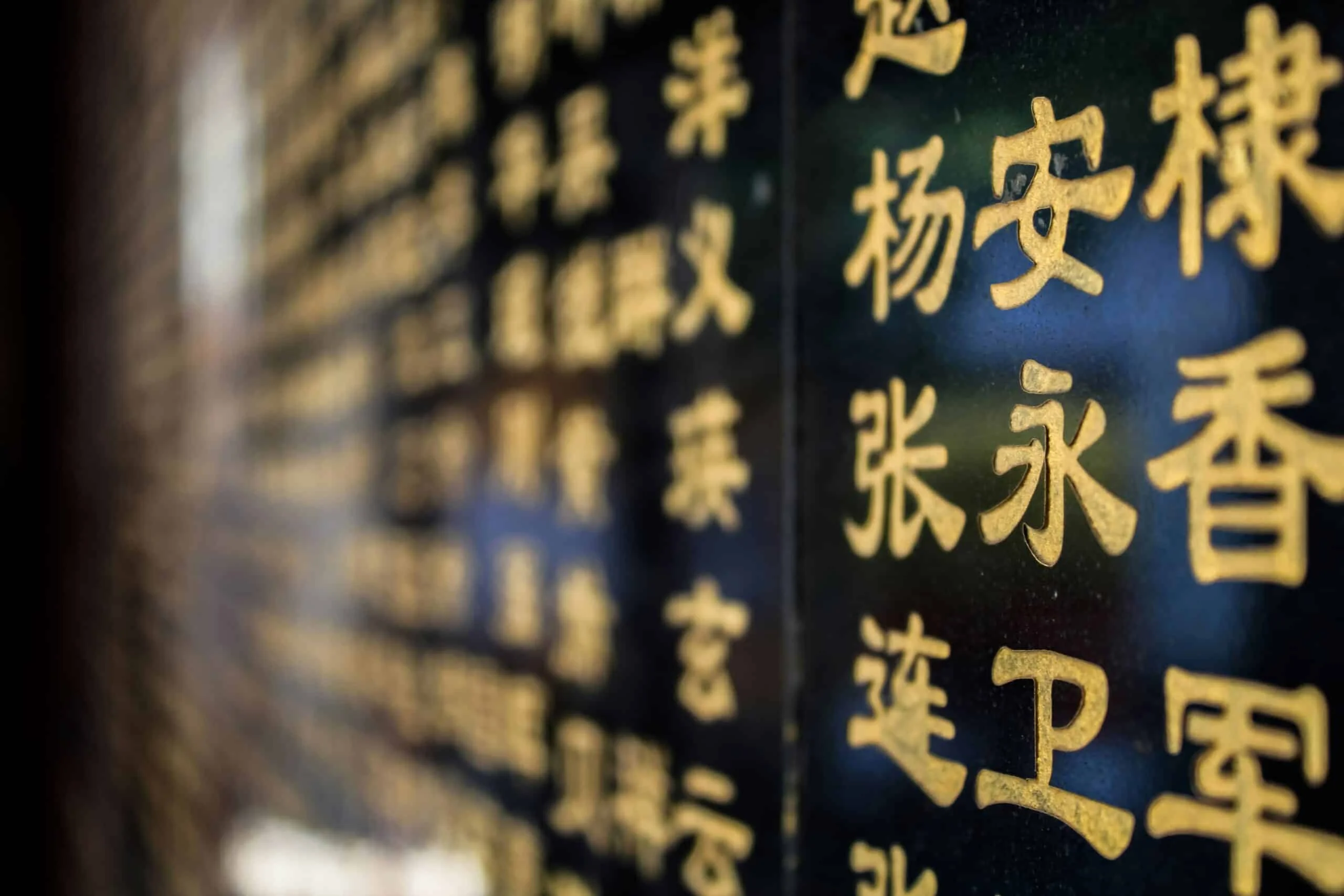 Asian cultural diversity,