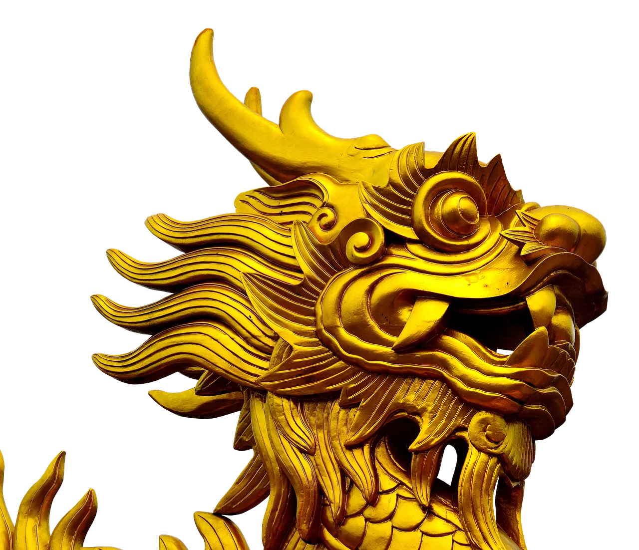 Gold dragon feng