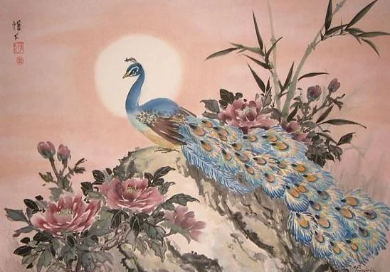 peacock symbolism, feng