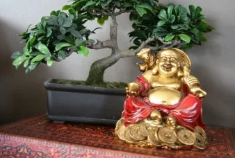 wealth corner feng