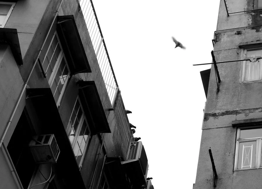 Xuan Kong Flying