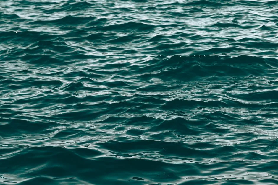 Water element feng