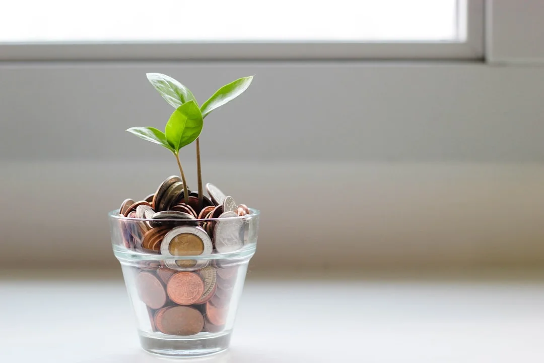 Financial feng shui,