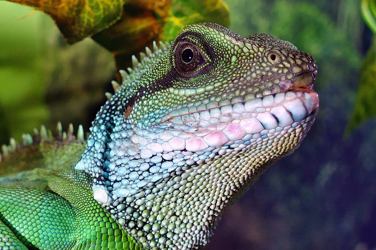 Dragon facing water