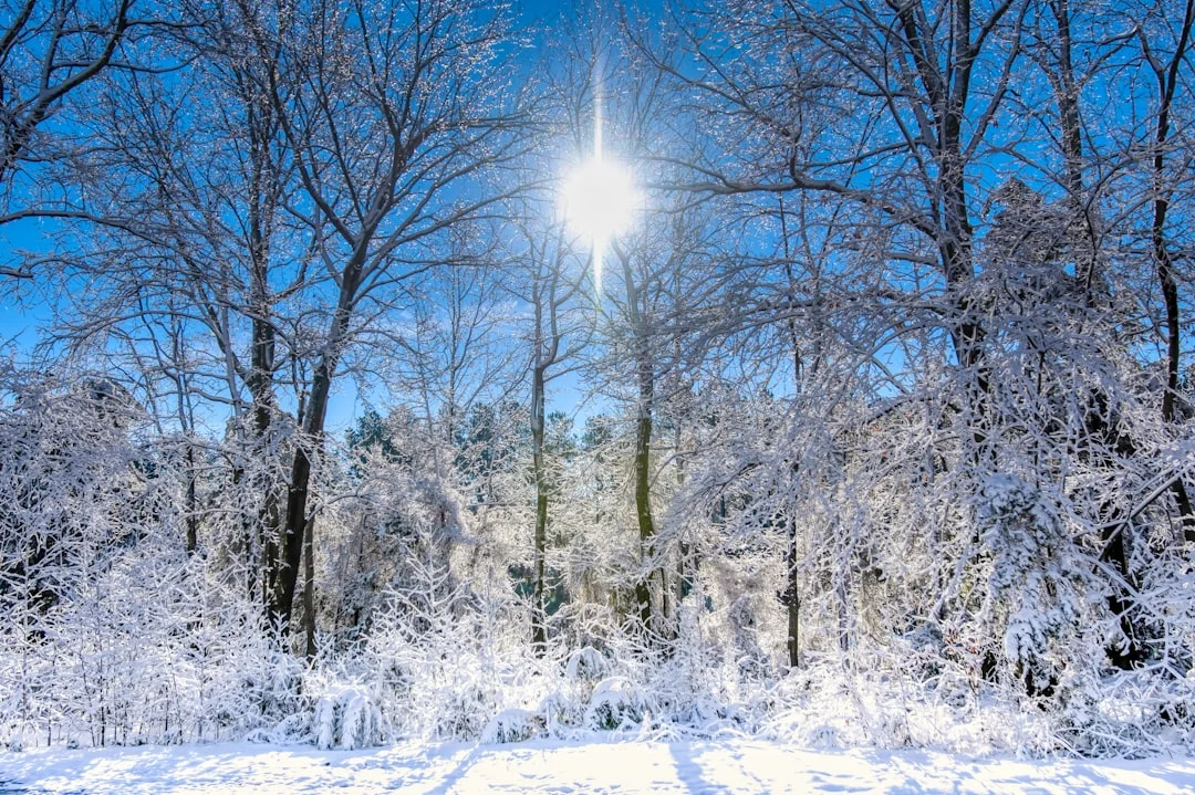 seasonal alignment, energy