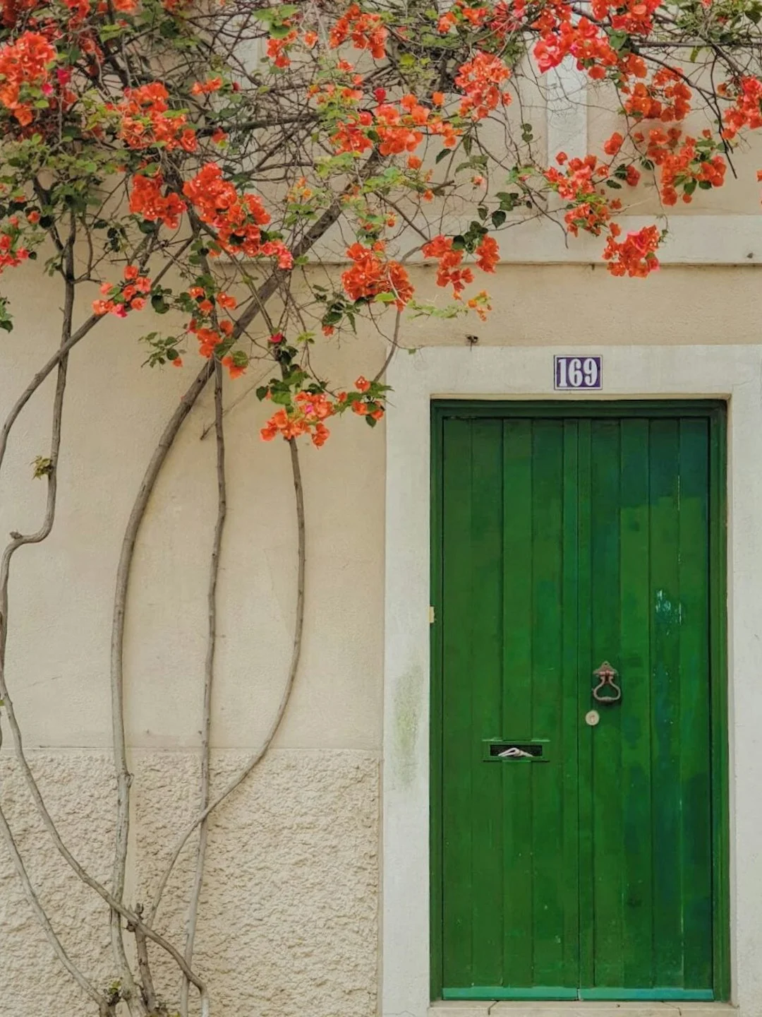 main door feng