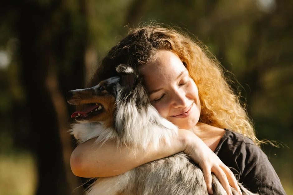 holistic pet care,