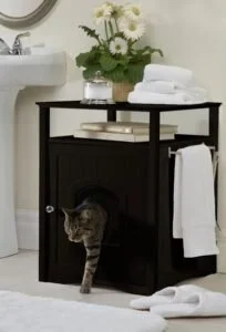 Hidden cat box,