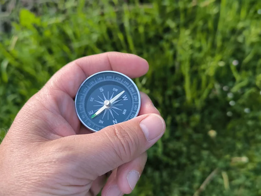 Luo pan compass,
