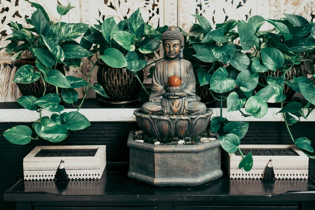 Popular feng shui,