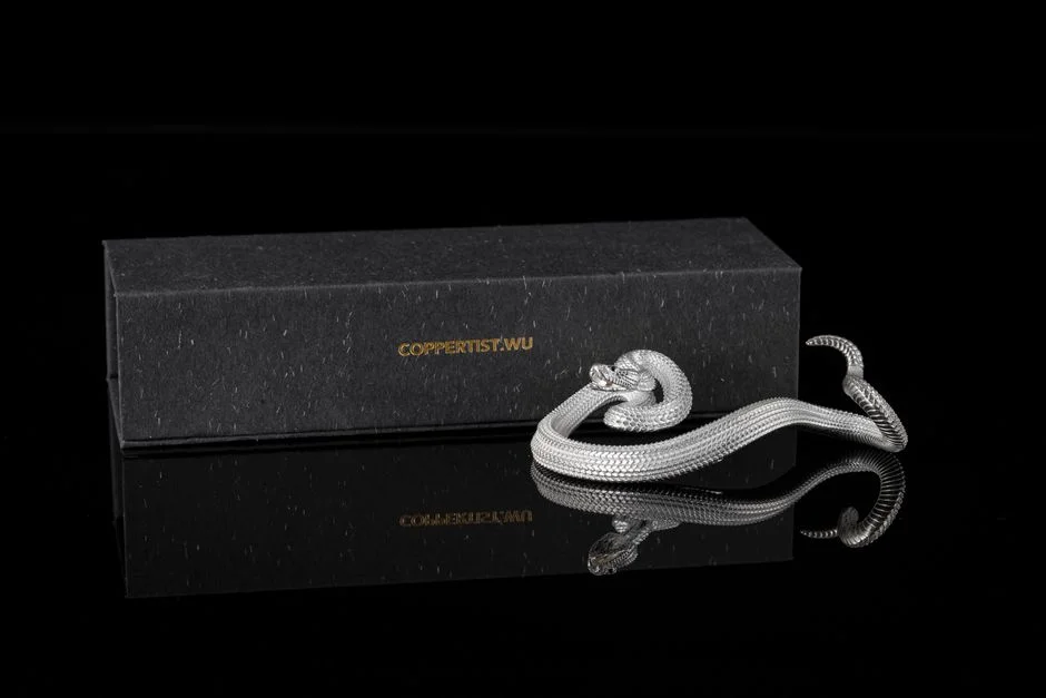 Silver snake jewelry,