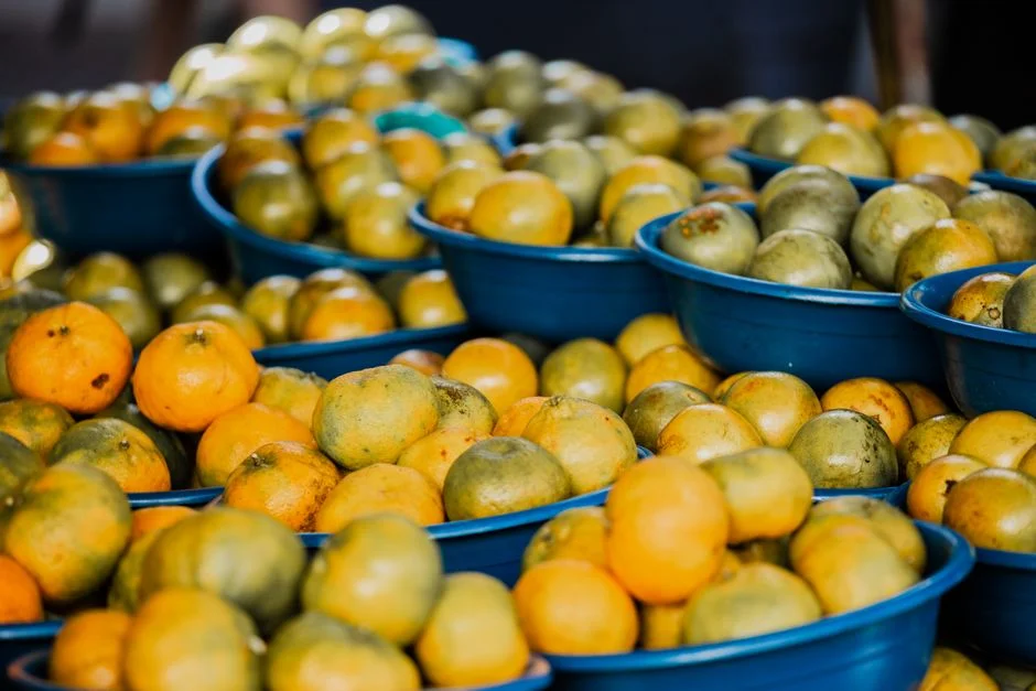 Bowl of oranges,
