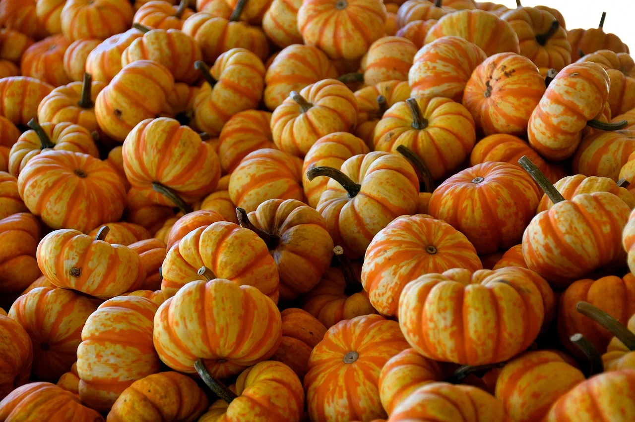 Gourd wealth corner,