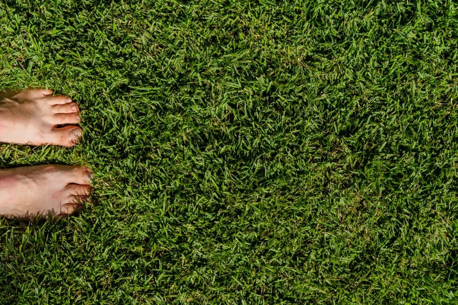 barefoot grounding, nature
