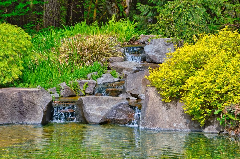 Feng Shui water