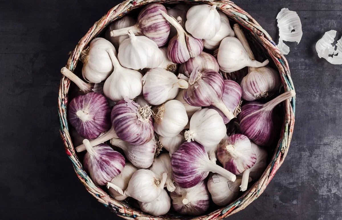 Garlic Feng Shui,