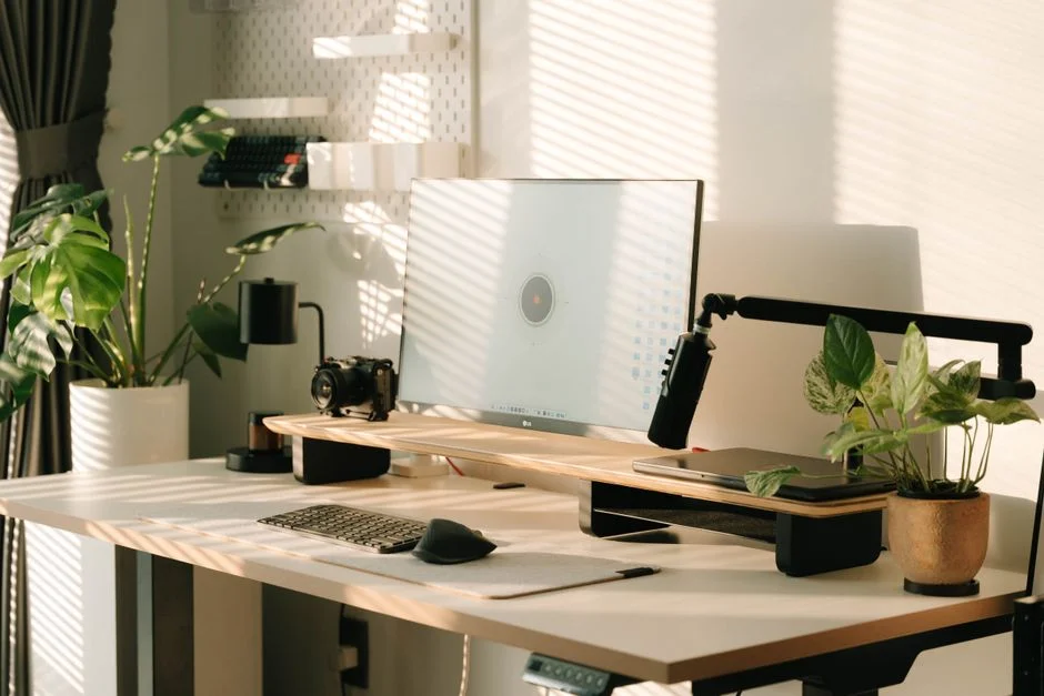 Study Feng Shui,