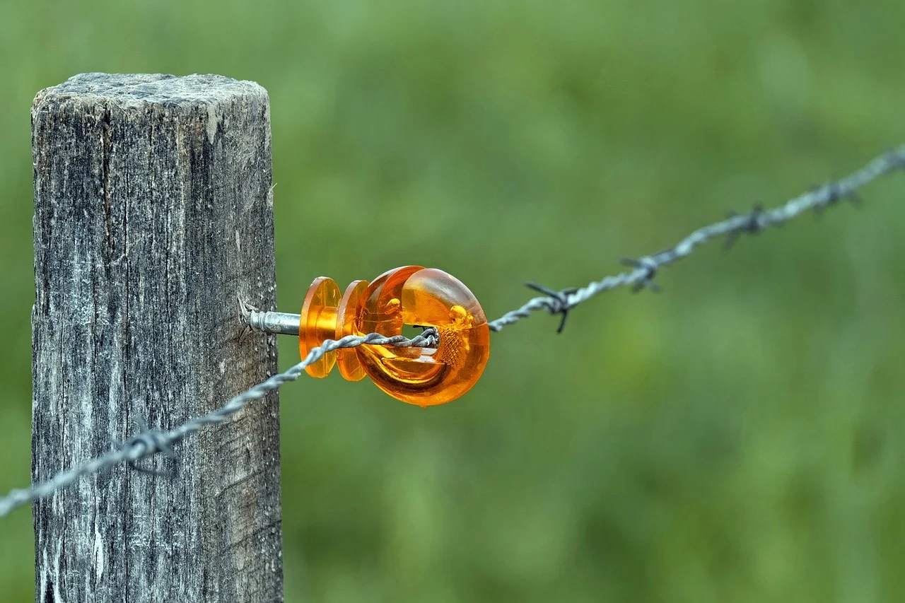 barbed wire fence,