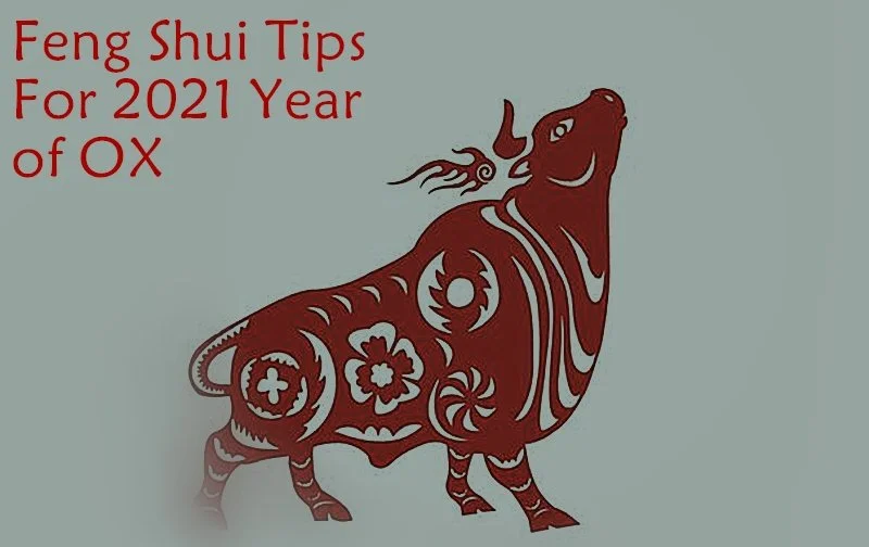 Year of the
