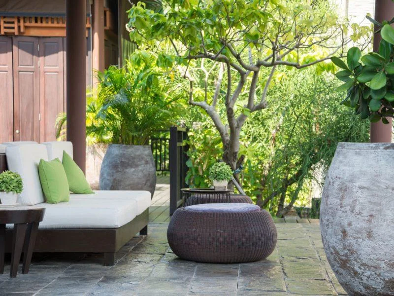 Feng Shui energy,