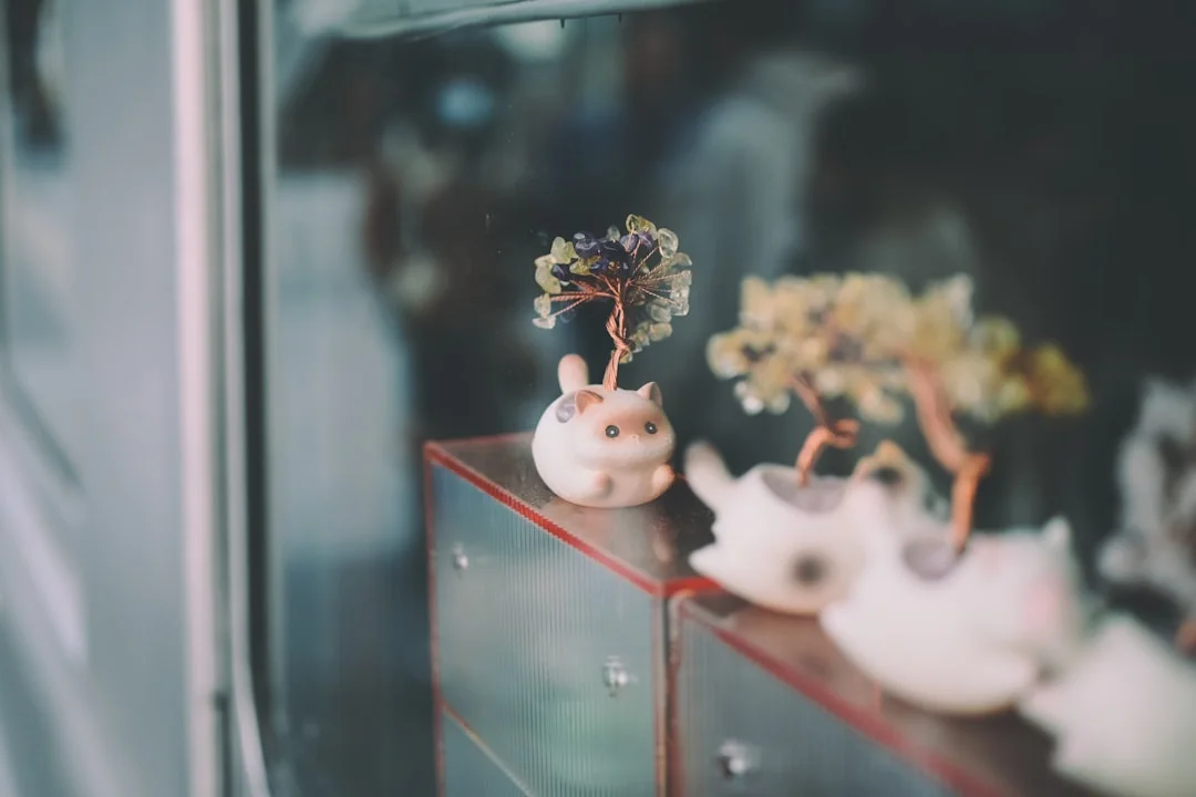 decluttering feng shui,