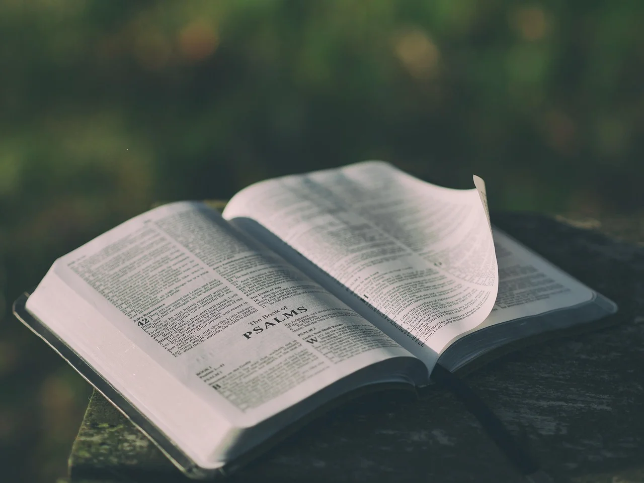 Spiritual wisdom, Knowledge