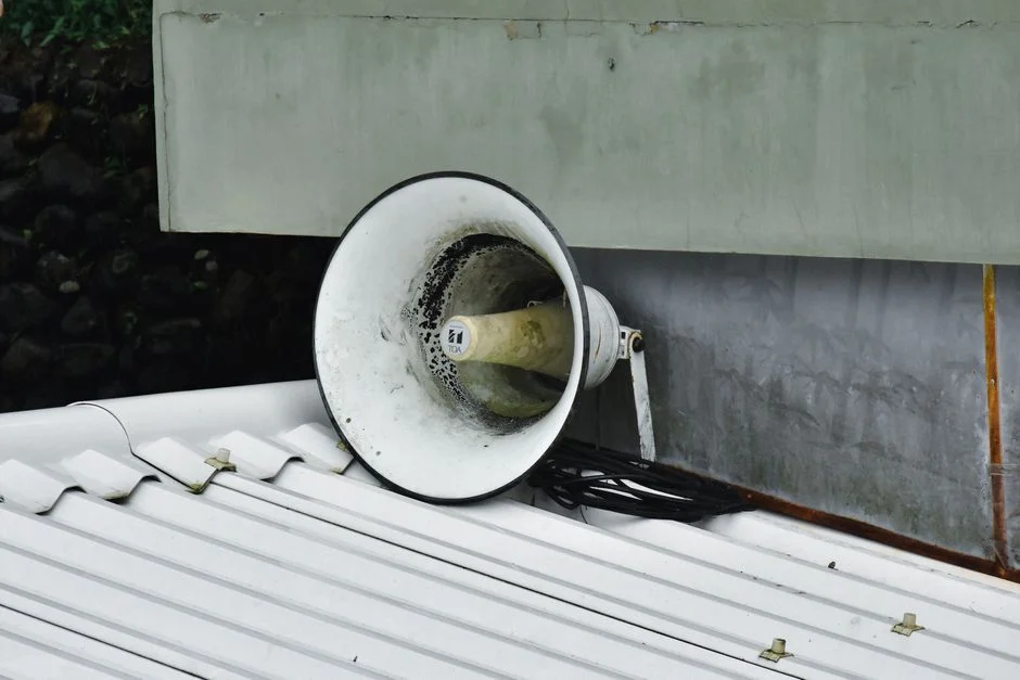 Mysterious roof sounds,
