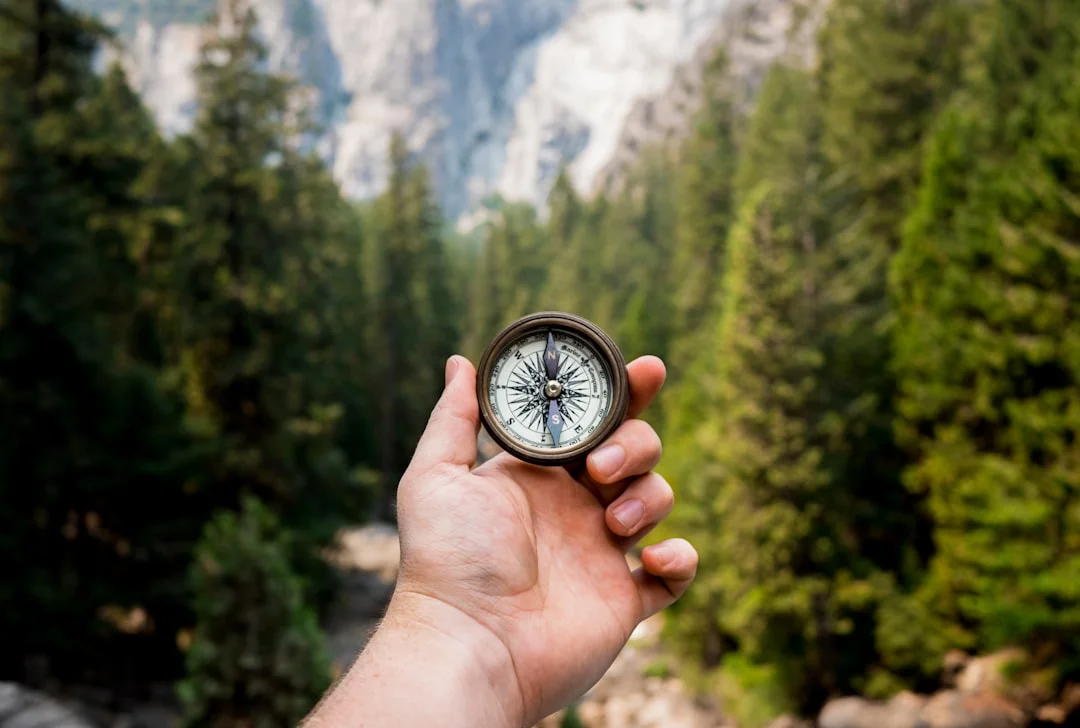 Compass Bagua, True