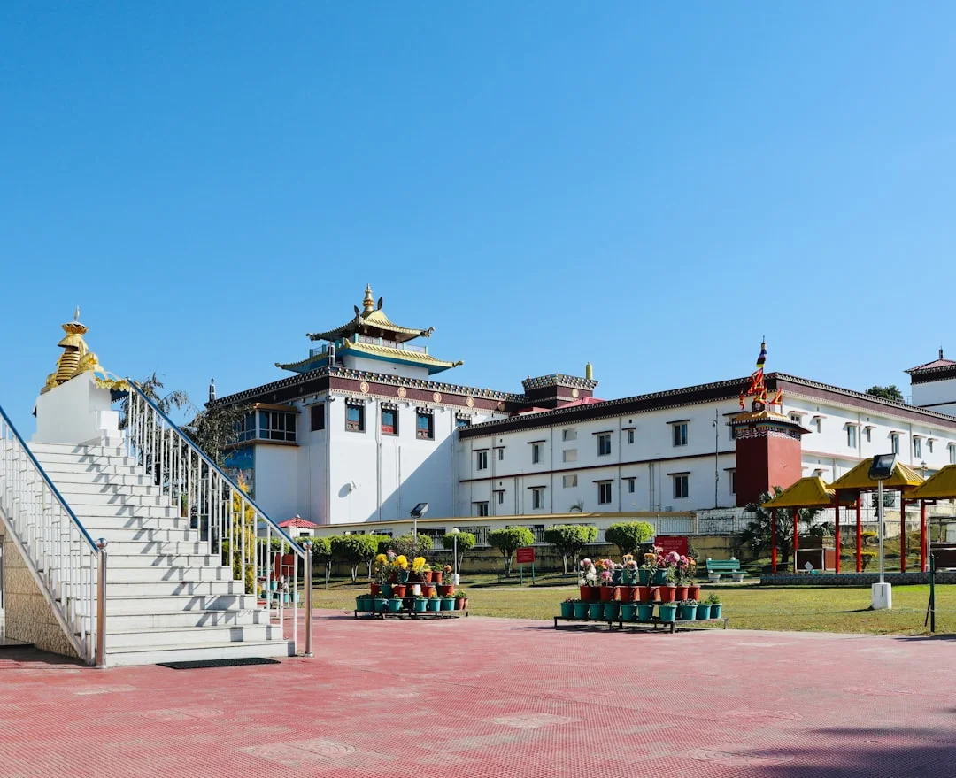 Shaolin heritage, Cultural