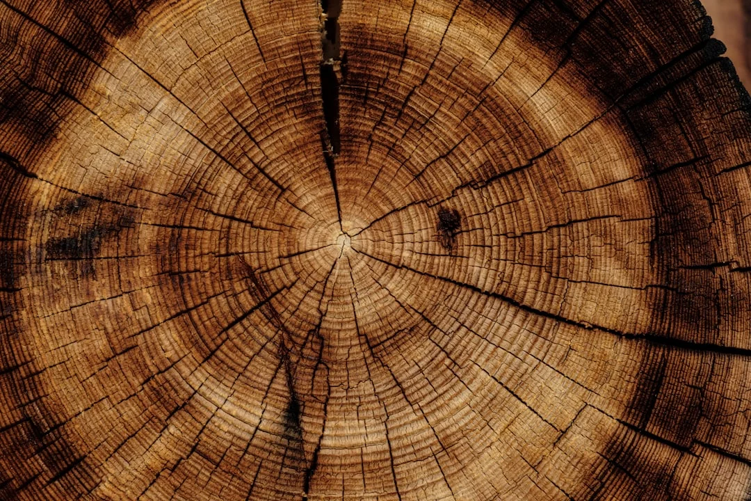 Feng Shui wood