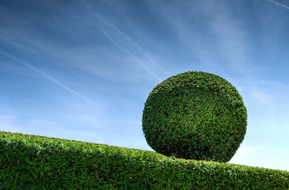 Round topiary, Feng