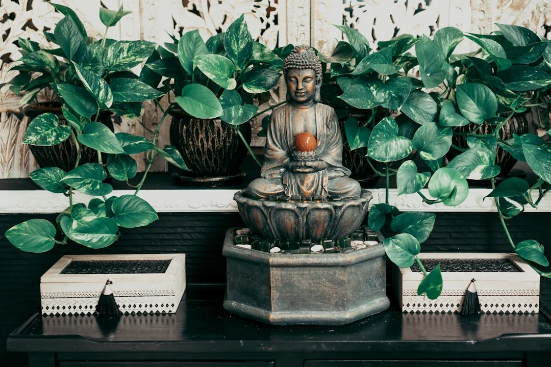 Feng shui summary,