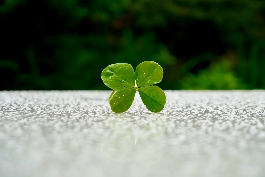 Feng Shui luck,