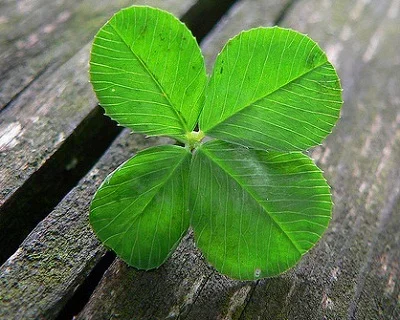 horseshoe luck symbol,