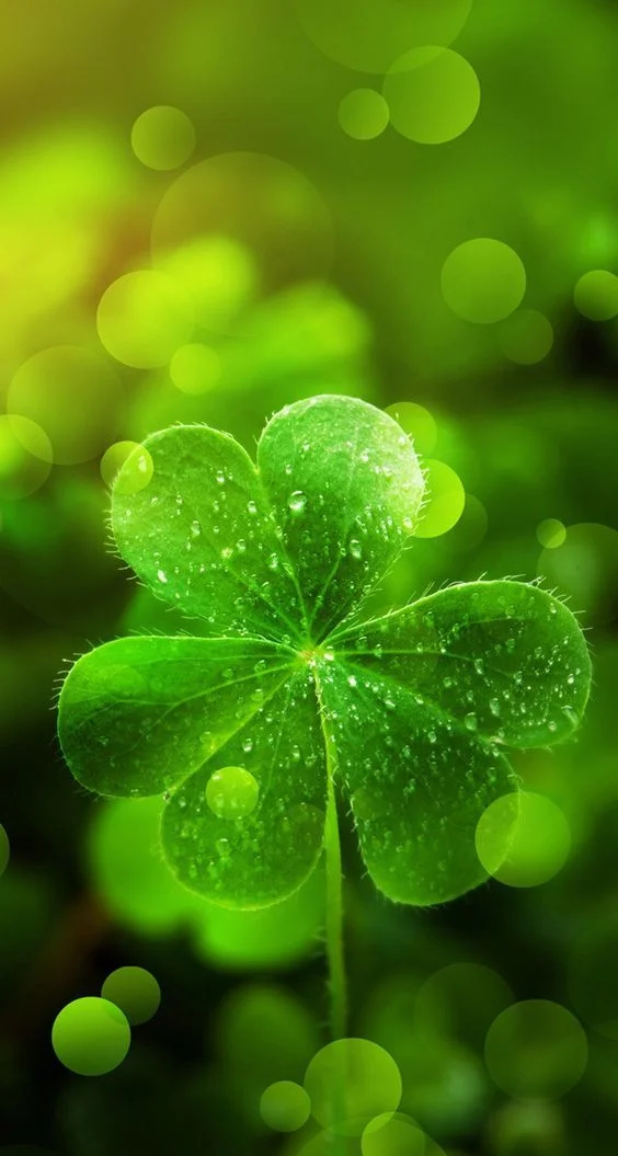 good luck symbols,